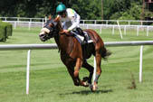 Horse Race